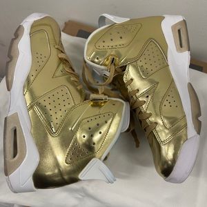 Air Jordan 6 pinnacle
